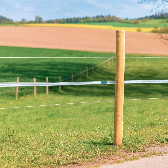 Robinienpfahl Robinienpfahl