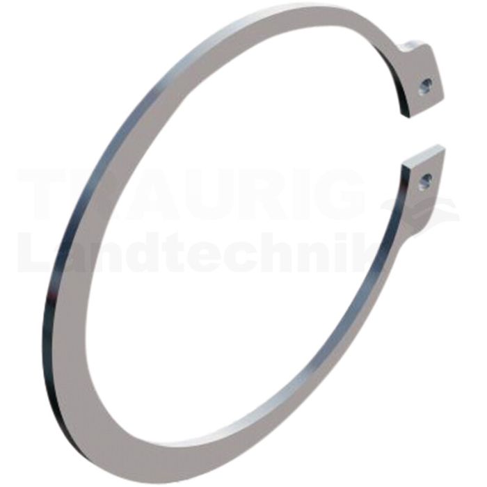 Ring Si We 95 x