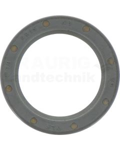 Wellendichring