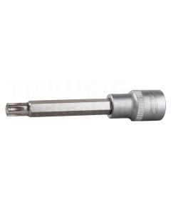 1/2'' Bit-Stecknuss für RIBE-Schrauben
