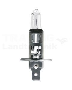 Halogenlampe H1
