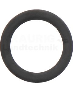 Dichtring