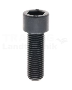 Zylinderschraube M20x60 DIN 912