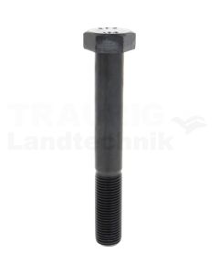 Sechskantschraube M39x280 DIN 931