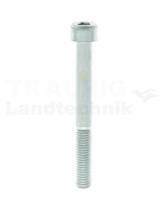Zylinderschraube M10x90 DIN 912