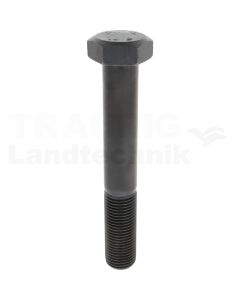Sechskantschraube M45x300 DIN 931