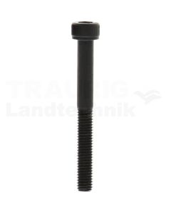 Zylinderschraube M5x45 DIN 912