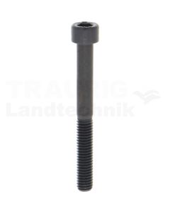 Zylinderschraube M6x55 DIN 912
