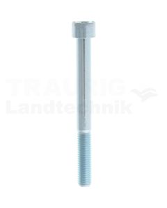 Zylinderschraube M10x100 DIN 912