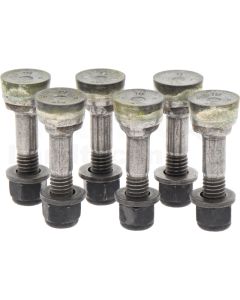 Schleifzahn-Kit (6er Pack)