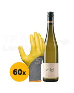 VPE60 Handschuhpaket "WetGuard"