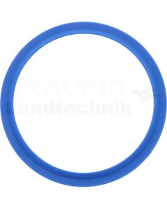 Dichtring