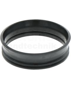 Dichtring