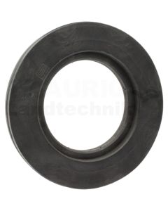 Dichtring