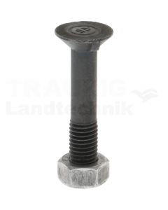 Pflugschraube 12x65-11014