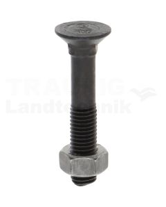 Pflugschraube M12 x 70, 8.8