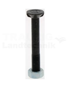 Pflugschraube M12x90-11014-10.9