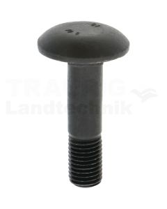 Flachrundschraube M16x65