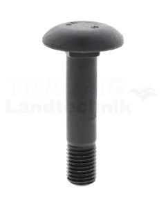 Flachrundschraube M16