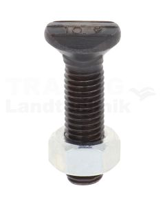Planetschraube M12x48