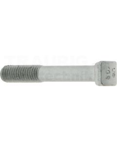 Hammerkopfschraube