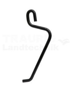 Sternsegment