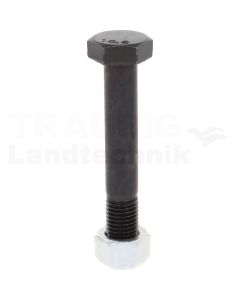 Schraube M16x2 - 10.9