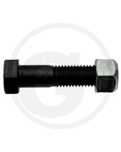 Schraube mit Sicherungsmutter