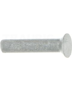 Senkniete  für Metall- Schar 6x30