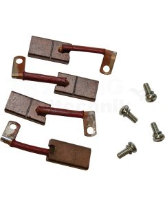 Kohlebürsten und Schrauben Set