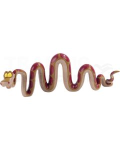Schlange Kaa