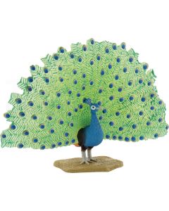 Pfau