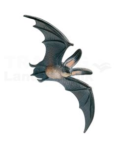 Fledermaus Baby