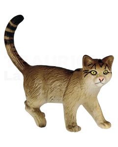 Wildkatze