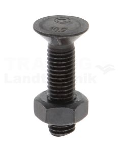 VPE25 Pflugschraube M10x40 DIN 11014