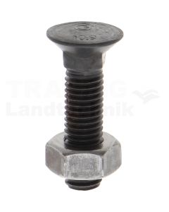 VPE25 Pflugschraube M10x40 DIN 608