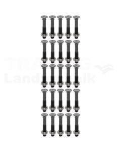 VPE25 Pflugschraube M10x60 DIN 608