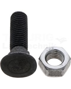 VPE25 Pflugschraube M12x45 DIN 608
