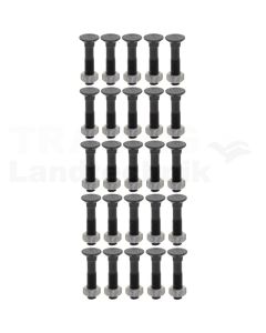 VPE25 Pflugschraube M12x60 DIN 608