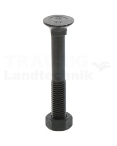 VPE25 Pflugschraube M12x85 DIN 608