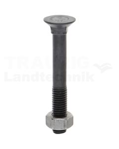 VPE25 Pflugschraube M12x90 DIN 608