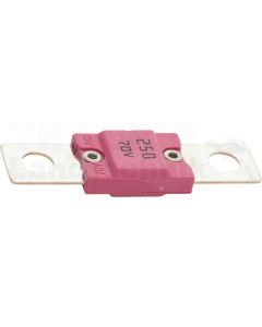 Sicherung 250A