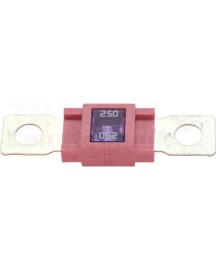 Sicherung 250A