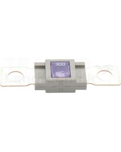 Sicherung 300A