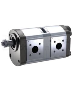 Doppelpumpe
