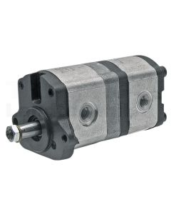 Doppelpumpe