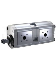 Doppelpumpe