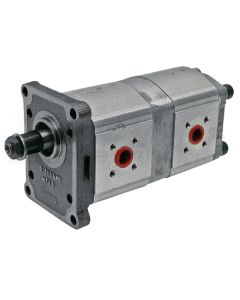 Doppelpumpe