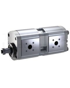 Doppelpumpe