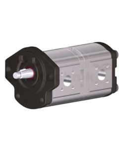 Doppelpumpe
